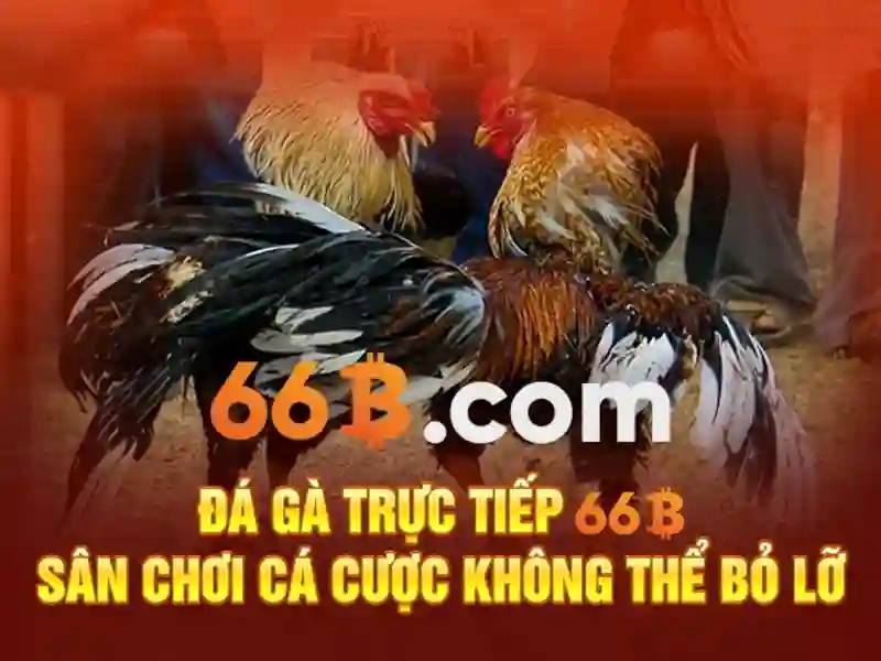 Kiến trúc và quy mô của 66b