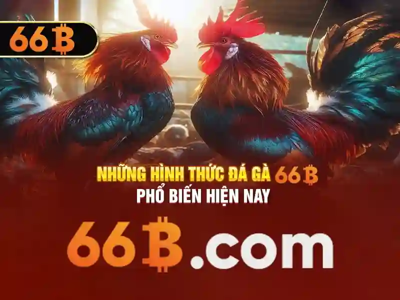 Khả năng tùy biến và tối ưu Khả năng tùy biến và tối ưu