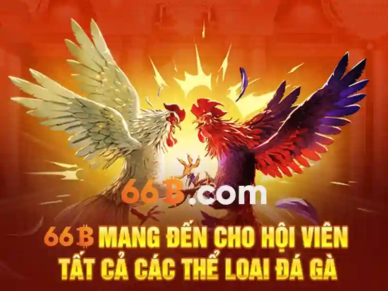 Những thách thức và cân nhắc về 66B