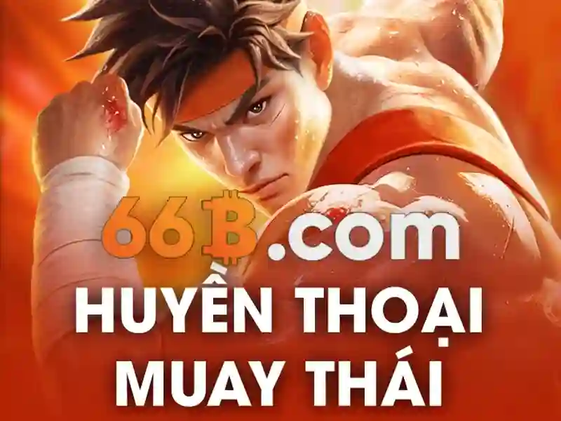 Hiệu suất và ứng dụng