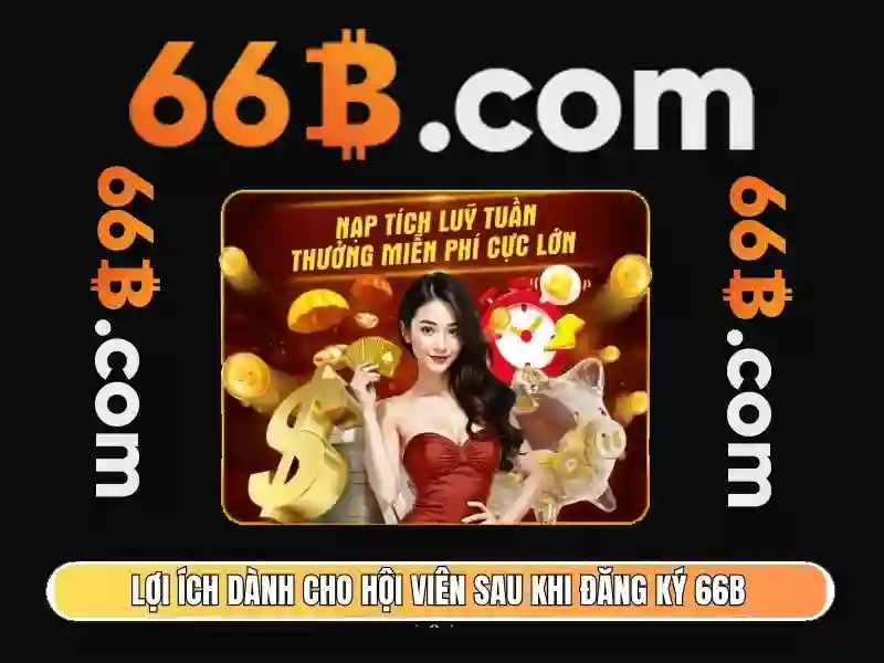 66b là gì? 66b là gì?