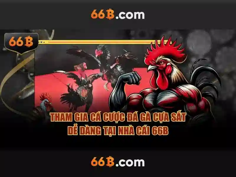 Kích thước và yếu tố kỹ thuật Kích thước và yếu tố kỹ thuật