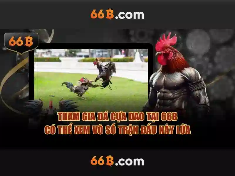 Kiến trúc và cách hoạt động