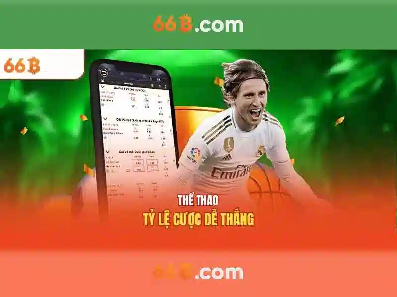 Vai trò và giới hạn
