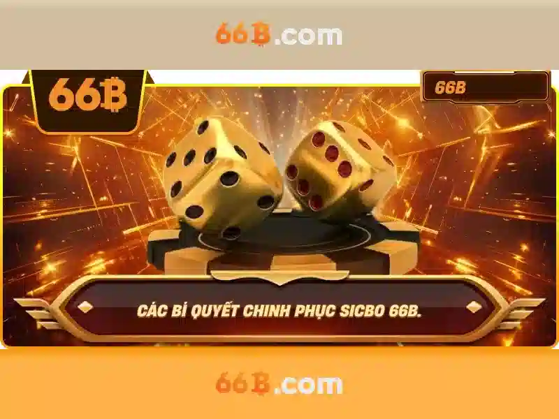 66b là gì?