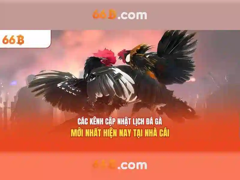 Nhung ung dung cua 66b trong AI va phat trien du lieu Nhung ung dung cua 66b trong AI va phat trien du lieu