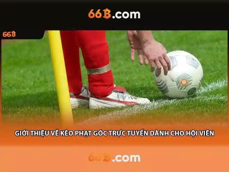 Nguồn gốc và ý nghĩa