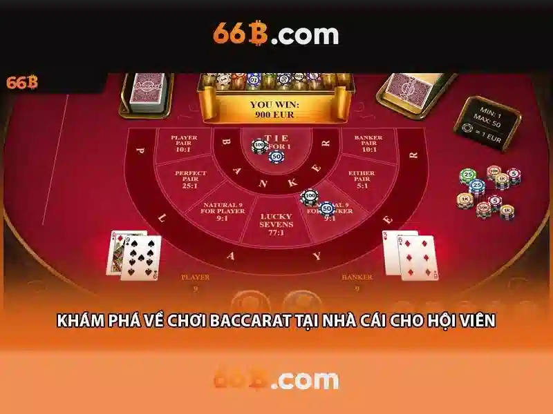 66b là gì?