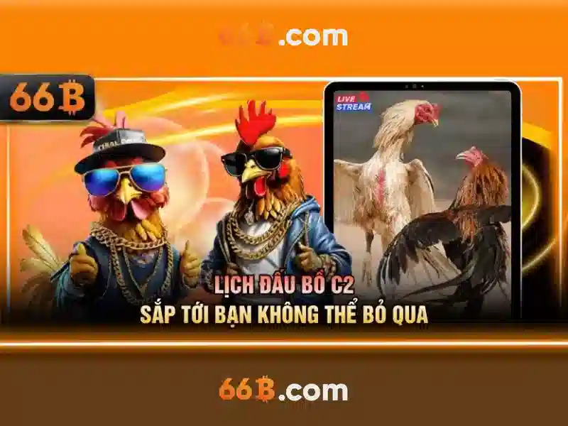 Cấu trúc và tham số của 66B