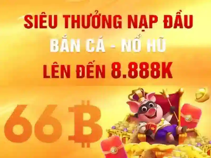 Khái niệm 66B