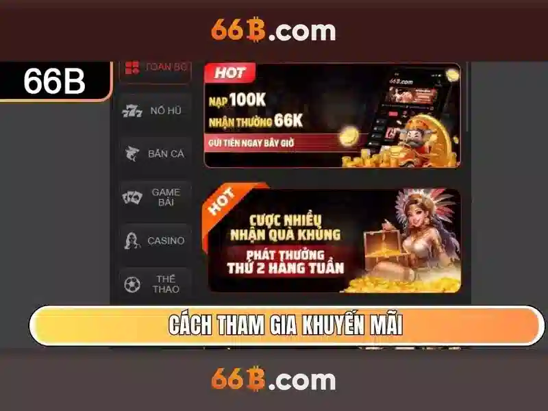 66B là gì?
