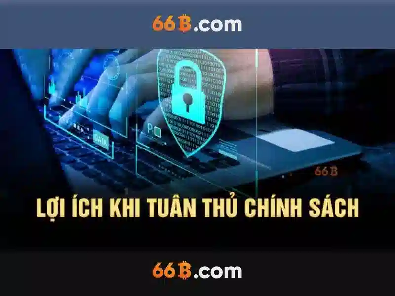 66b là gì?