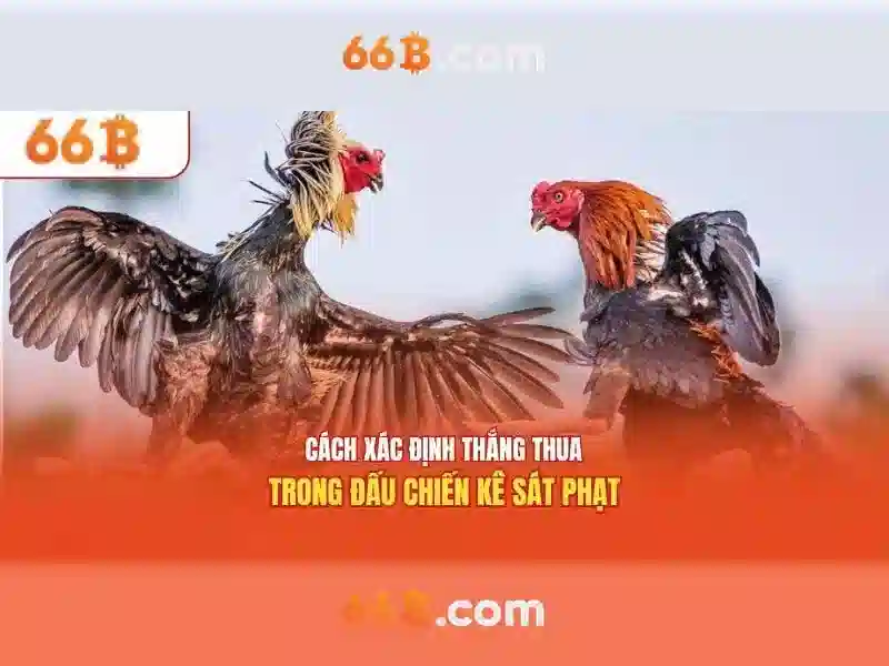 Hiệu suất và ứng dụng