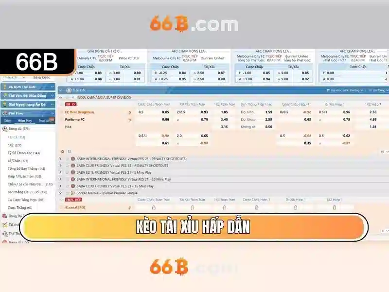 Ứng dụng của 66B trong thực tiễn