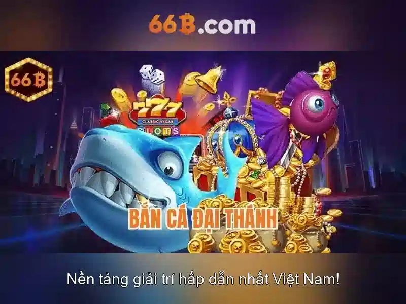 Giới thiệu về 66B