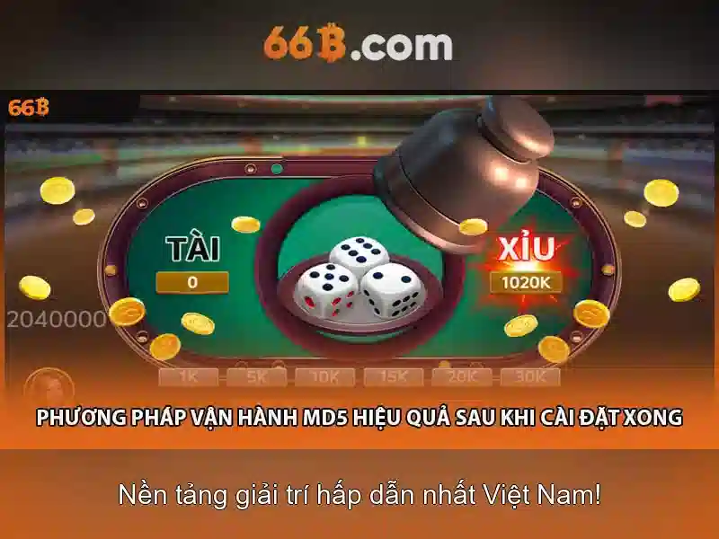 66B là gì và tại sao nó quan trọng