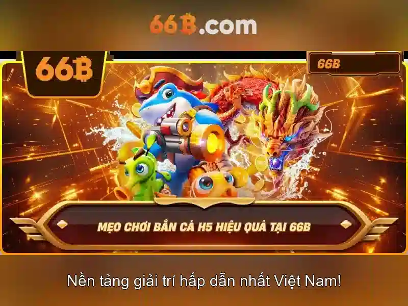 Giới thiệu về 66b