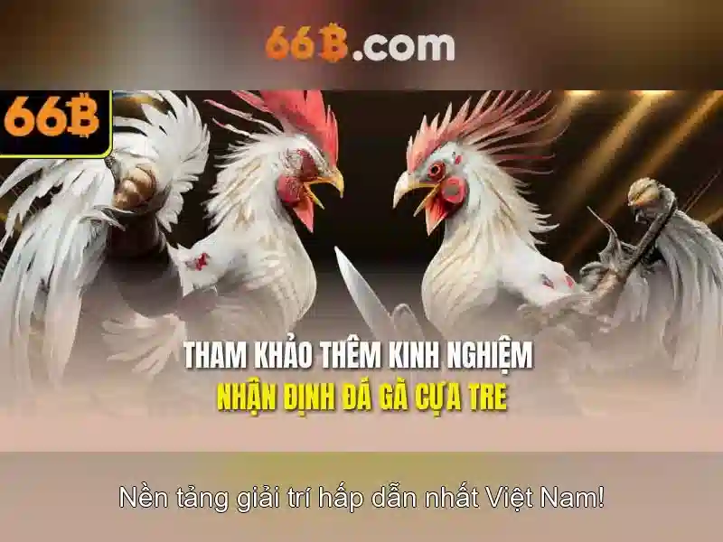 Việt Vị Trong Bóng Đá