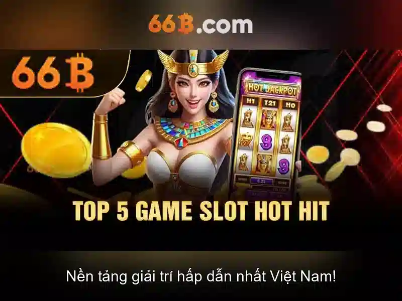 66b là gì