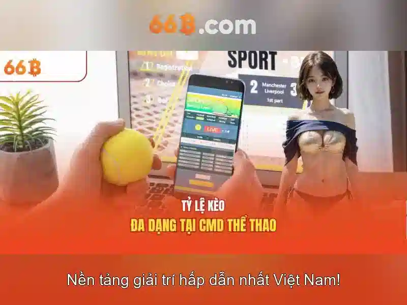66B là gì?