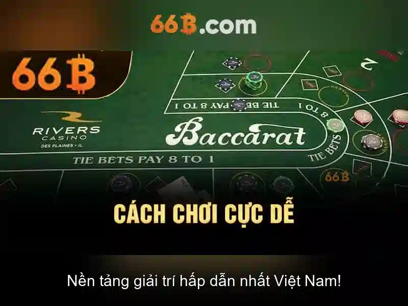 66B là gì?