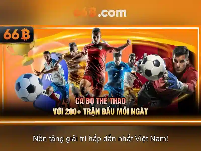 66b là gì?