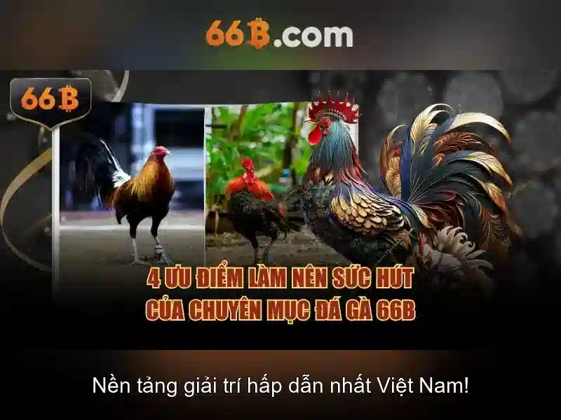 Công dụng và giới hạn