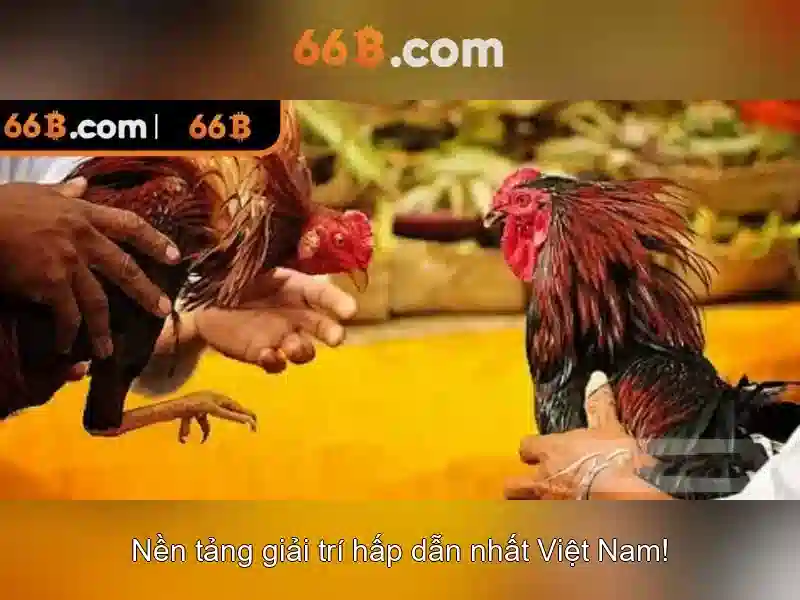 An toàn và đạo đức khi dùng 66B