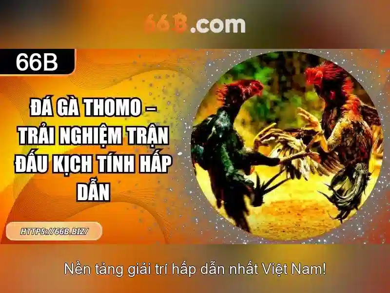 Cấu trúc và quy mô của 66b Cấu trúc và quy mô của 66b