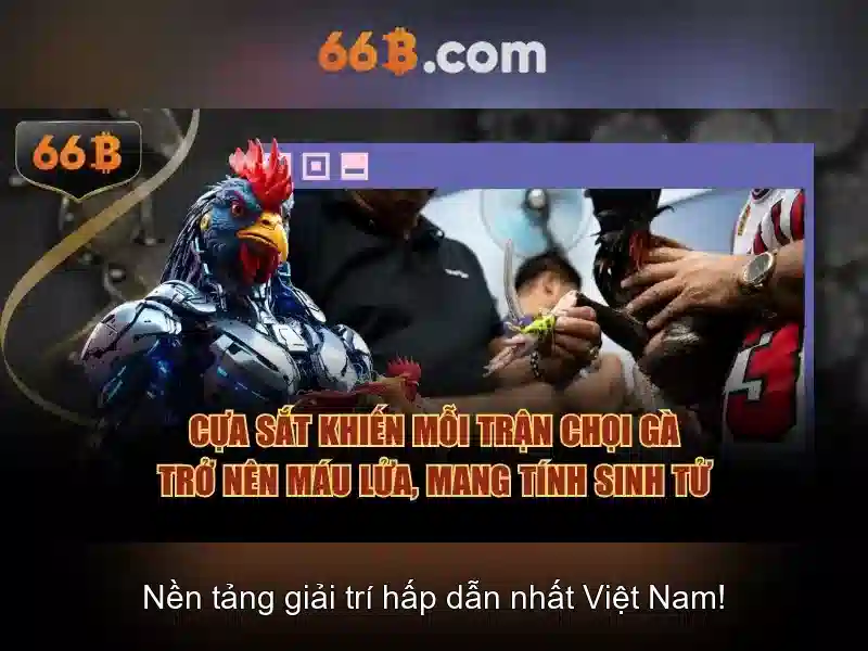 Hiệu suất và ứng dụng thực tế của 66B