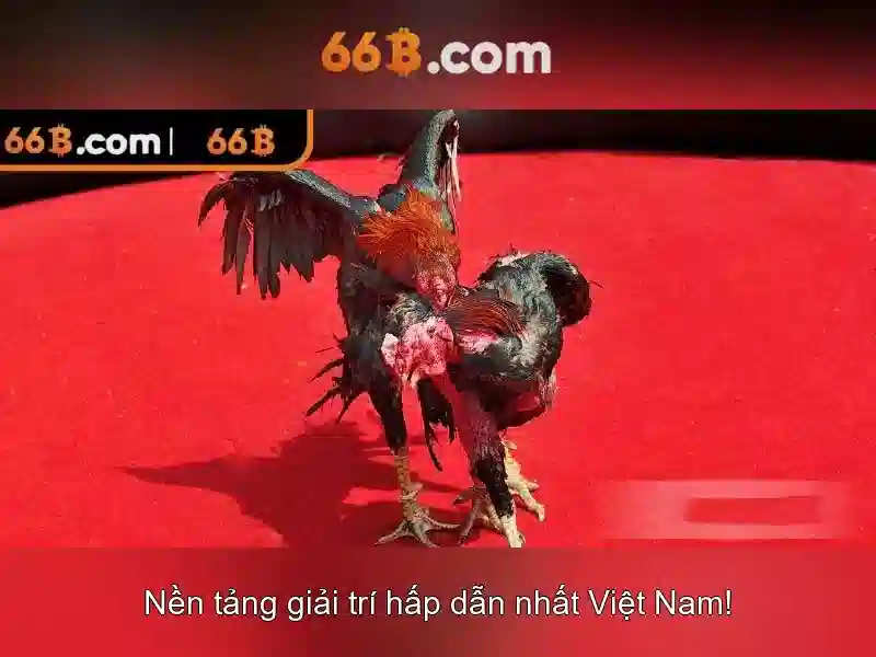 Việt Vị Trong Bóng Đá