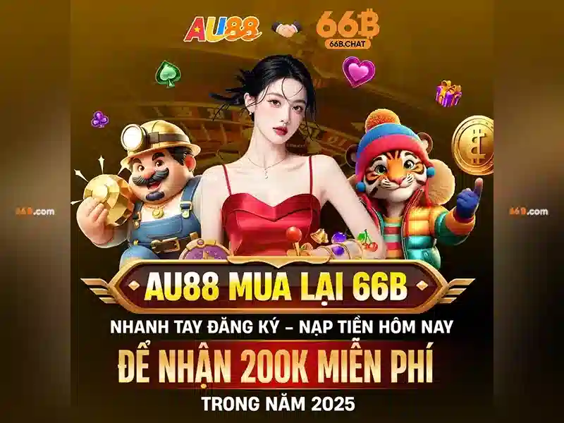 66B là gì?