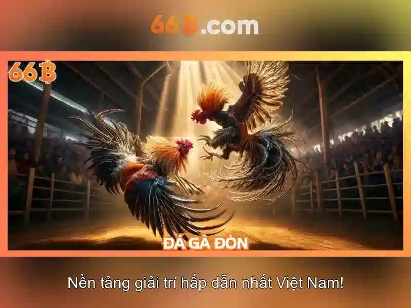 So sánh 66b với các mô hình khác