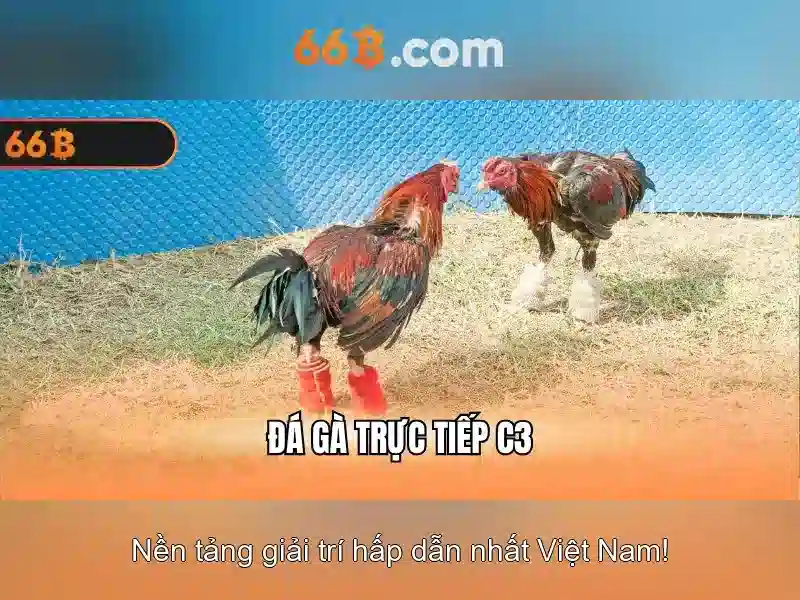Kiến trúc và tham số của 66B Kiến trúc và tham số của 66B