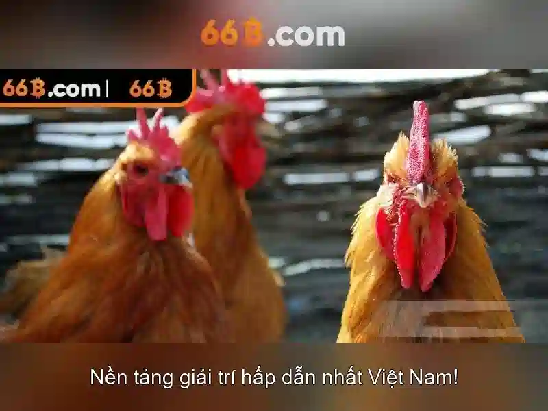 Ứng dụng của 66b trong AI và dữ liệu