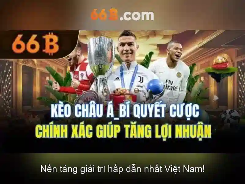 66B là gì