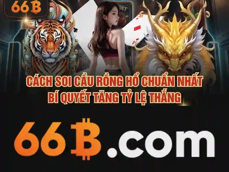 66B là gì?