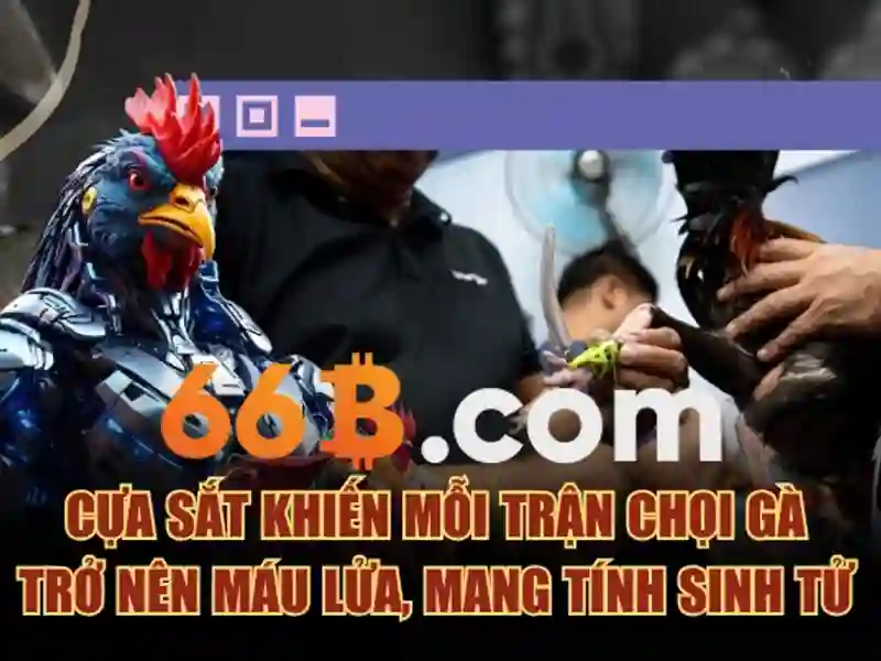 66B là gì?