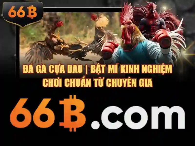 Khái niệm về 66b Khái niệm về 66b