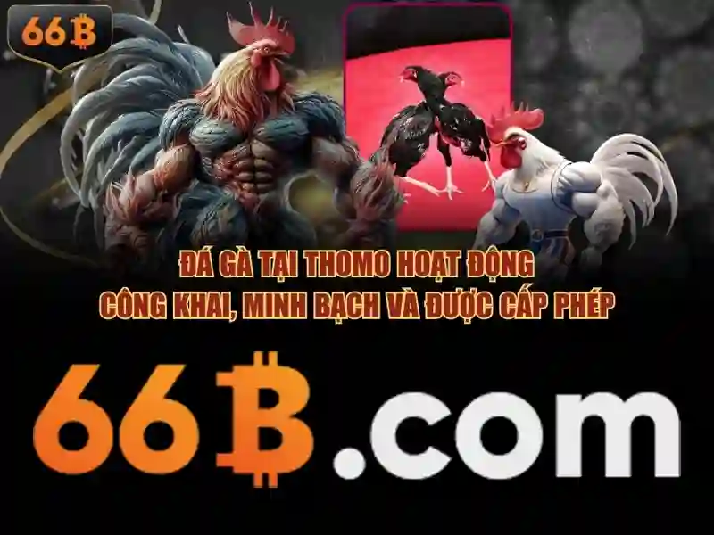 Bảo quản và chăm sóc áo ngực để duy trì kích thước 66B