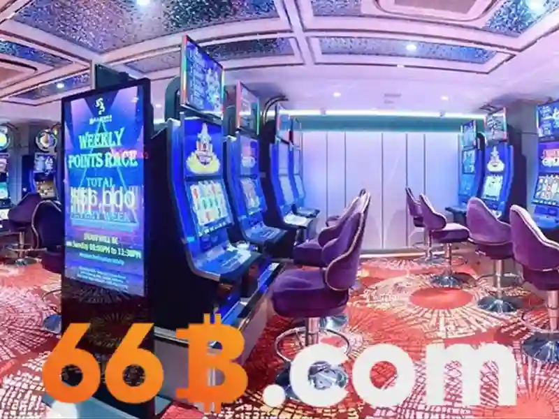 66B là gì?
