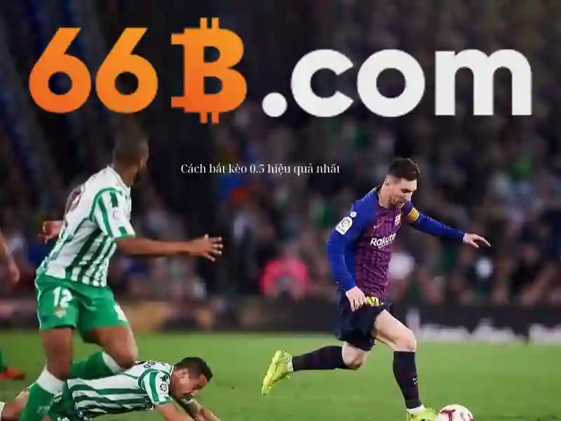 Khái niệm cơ bản về 66b